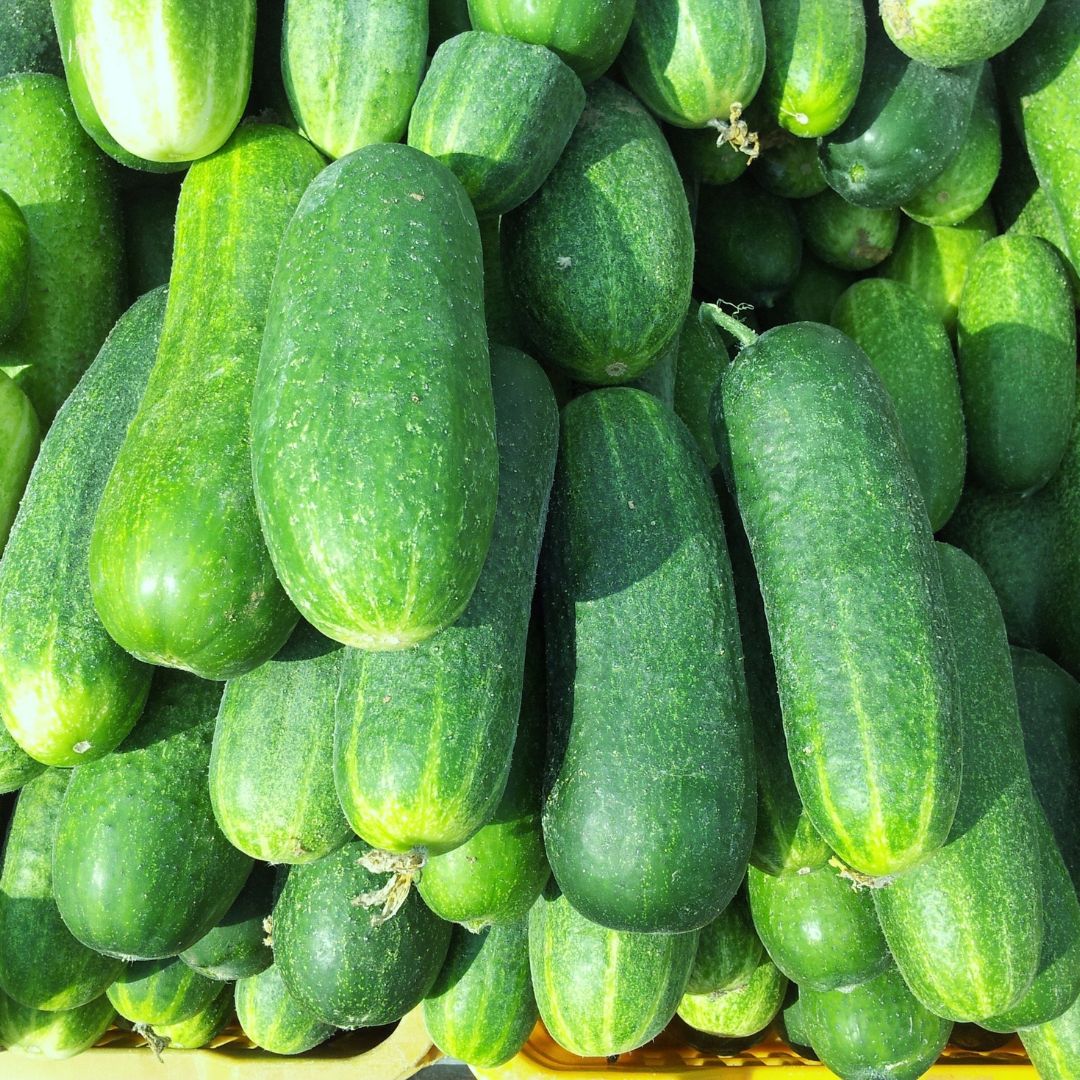 خيار
